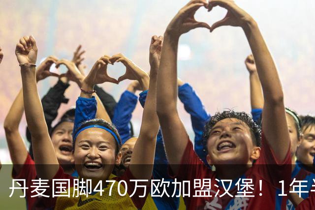 丹麦国脚470万欧加盟汉堡！1年半换4队终落脚，主帅赞其聪明